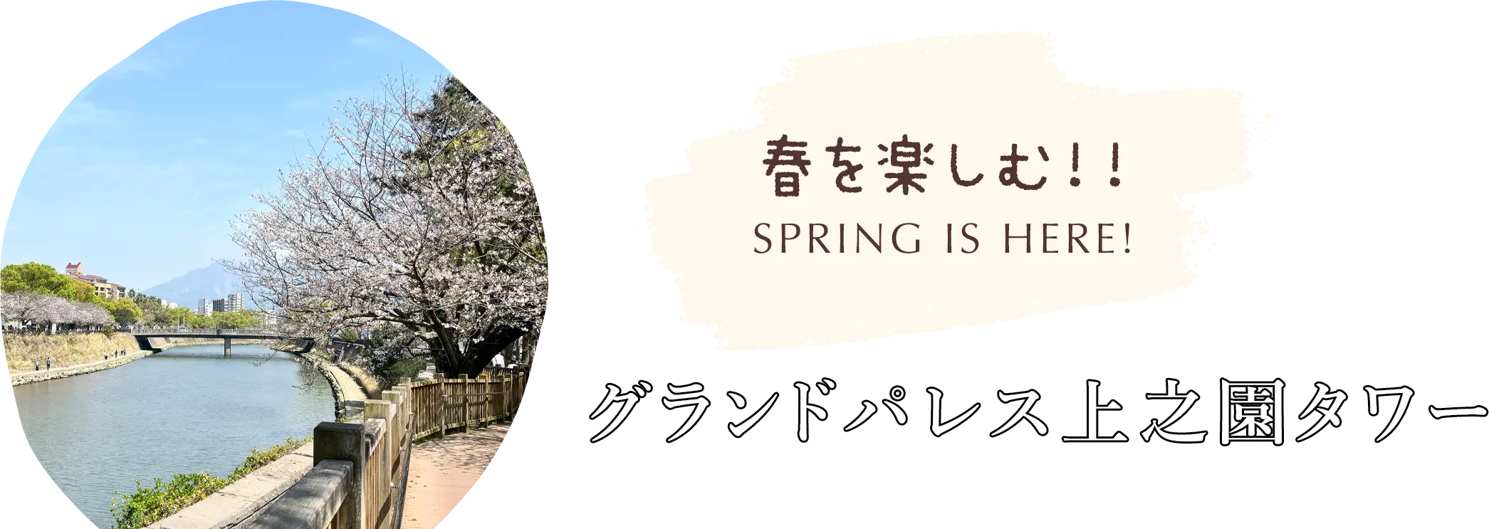 春を楽しむ！！