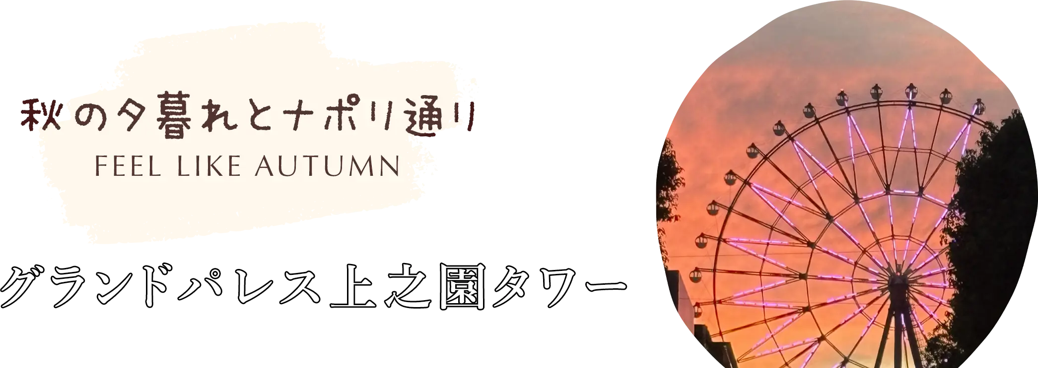 秋の夕暮れとナボリ通り